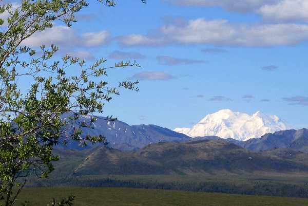 Mt McKinley