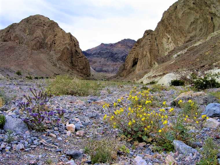 Death Valley Hikes