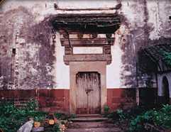 Yin Yu Tang
