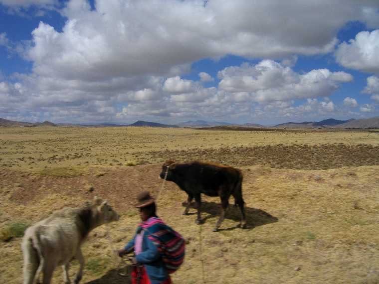 Altiplano Landscape